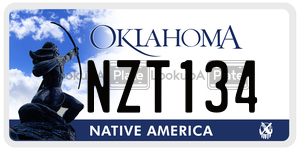 NZT134  license plate in OK