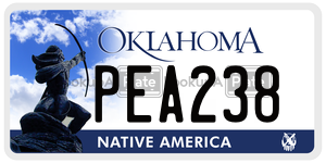 PEA238 license plate in Oklahoma