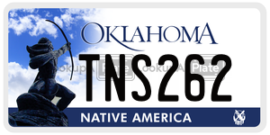 TNS262  license plate in OK