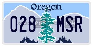 028MSR  license plate in OR