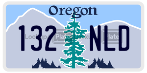 132NLD  license plate in OR
