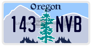 143NVB license plate in Oregon
