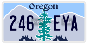 246EYA license plate in Oregon