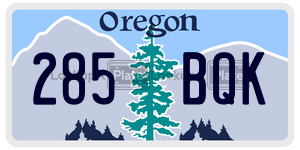 285BQK  license plate in OR