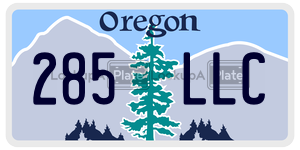 285LLC license plate in Oregon