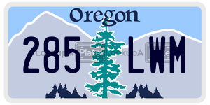 285LWM  license plate in OR