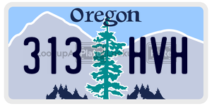 313HVH license plate in Oregon
