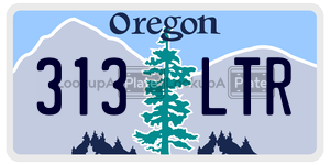 313LTR  license plate in OR