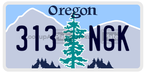 313NGK license plate in Oregon