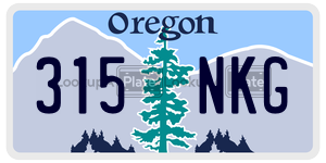 315NKG license plate in Oregon