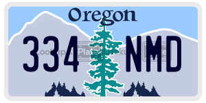 334NMD license plate in Oregon