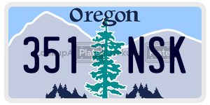 351NSK  license plate in OR
