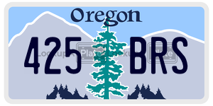 425BRS  license plate in OR