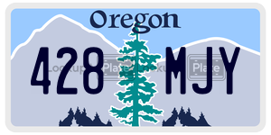 428MJY  license plate in OR