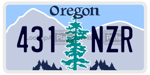 431NZR  license plate in OR