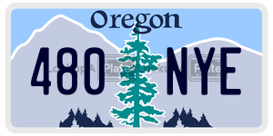 480NYE  license plate in OR
