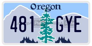 481GYE  license plate in OR