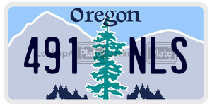 491NLS  license plate in OR