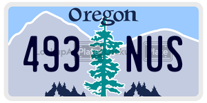 493NUS license plate in Oregon