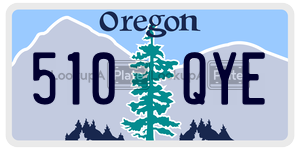 510QYE  license plate in OR
