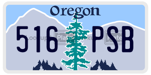 516PSB license plate in Oregon