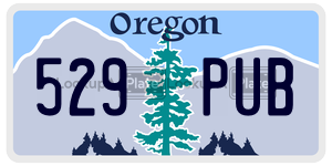 529PUB license plate in Oregon