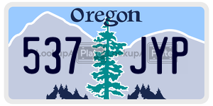 537JYP license plate in Oregon