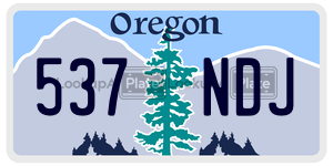 537NDJ license plate in Oregon