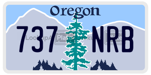 737NRB  license plate in OR