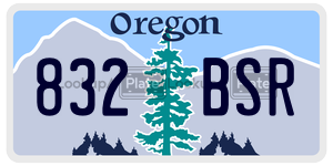 832BSR license plate in Oregon