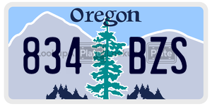 834BZS  license plate in OR