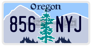 856NYJ license plate in Oregon