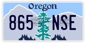 865NSE  license plate in OR