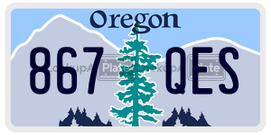 867QES  license plate in OR