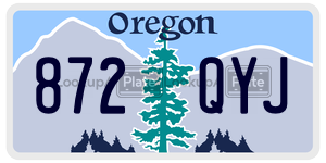 872QYJ  license plate in OR