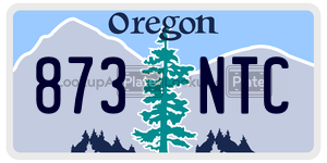 873NTC  license plate in OR