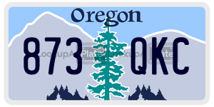 873QKC  license plate in OR