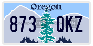 873QKZ  license plate in OR