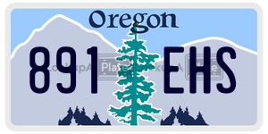 891EHS  license plate in OR