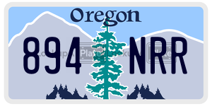 894NRR  license plate in OR
