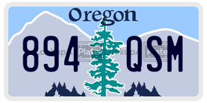 894QSM  license plate in OR