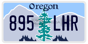895LHR license plate in Oregon