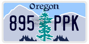 895PPK license plate in Oregon