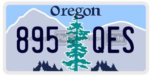 895QES  license plate in OR