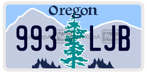 993LJB  license plate in OR