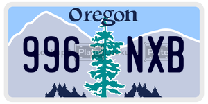 996NXB license plate in Oregon