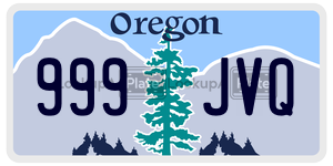 999JVQ license plate in Oregon