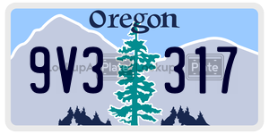 9V3317 license plate in Oregon
