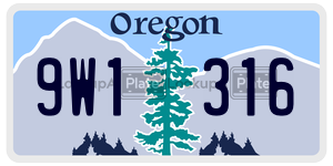 9W1316 license plate in Oregon