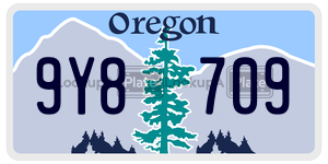 9Y8709 license plate in Oregon